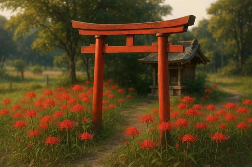 小さな神社の鳥居と彼岸花 小さな神社の鳥居と彼岸花の写真
