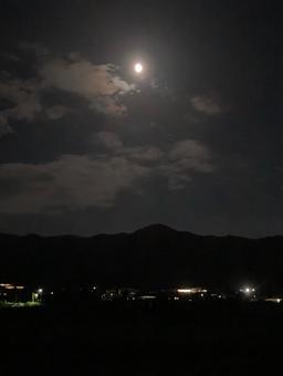 月明かり 月明かりの写真