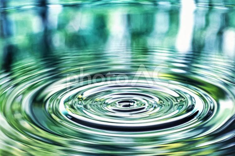 水紋と林　映り込み10 水紋,水滴,跳ね返りの写真素材