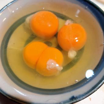 割った3個の卵 黄身が4個 割った3個の卵 黄身が4個の写真