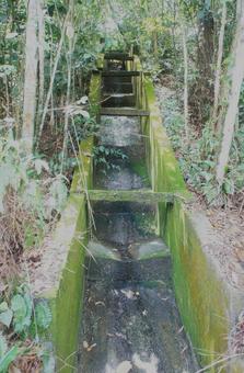 Photo, waterway, moss, grass, 