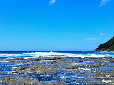 海景 海景の写真