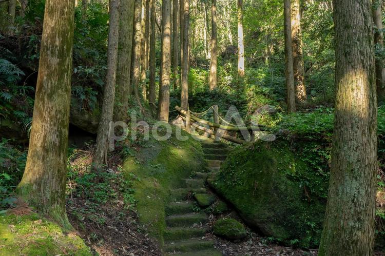 花尾隠れ念仏堂へ続く道 花尾隠れ念仏堂,花尾,鹿児島市の写真素材