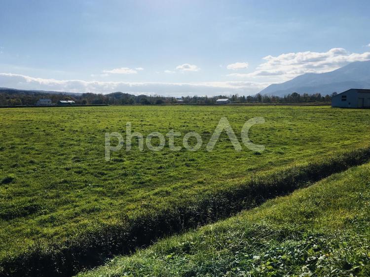 広大な農地と用水路 用水路,畑,農家の写真素材