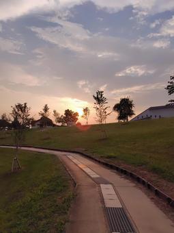 夕日 夕陽,夕暮れ,夕方の写真素材