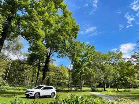 車 suv,アウトドア,車の写真素材