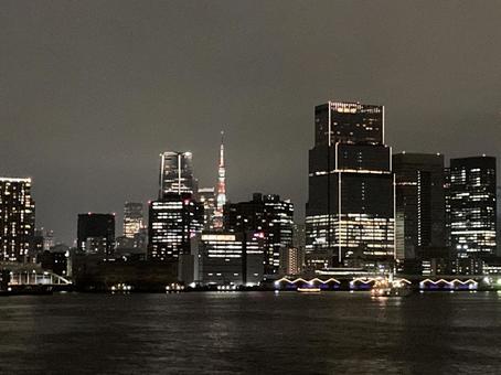東京湾夜景 東京湾夜景の写真