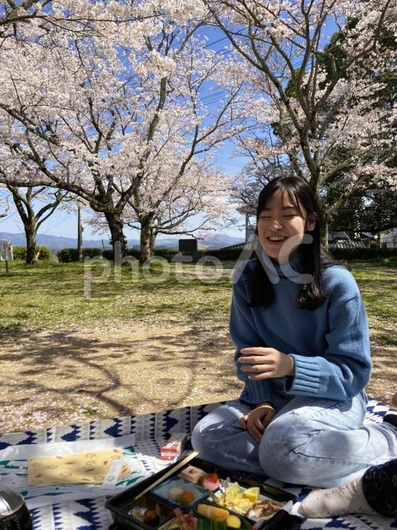 お花見ピクニックを楽しむ女の子 お花見,ピクニック,遠足の写真素材