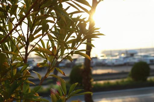 夕方の風景 夕方の風景の写真