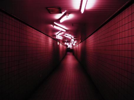 ホラーゲームのような地下通路4 ホラーゲームのような地下通路4の写真