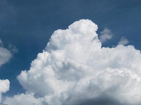 夏雲 夏雲の写真