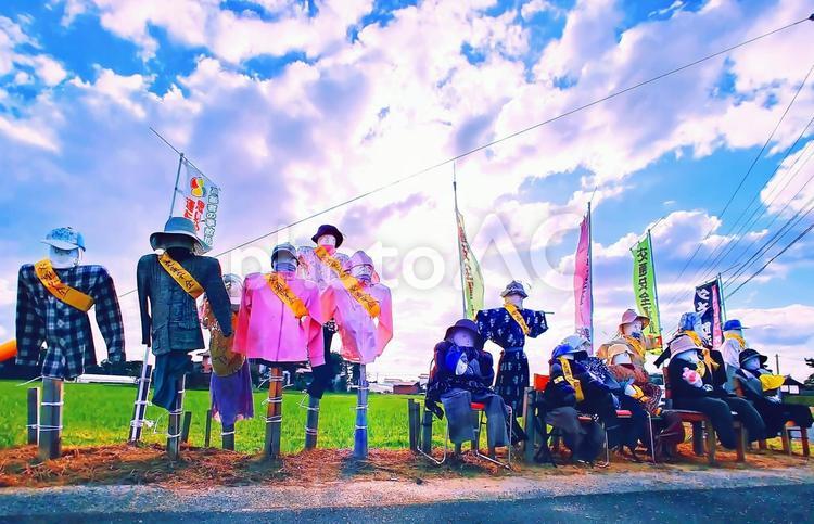 秋の交通安全の案山子 案山子,かかし,秋の写真素材
