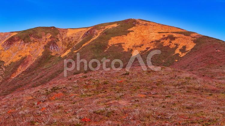 神の絨毯と栗駒山山頂 山,秋,紅葉の写真素材