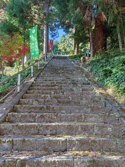 岐阜県-養老神社-参道 養老神社,神社,参道の写真素材