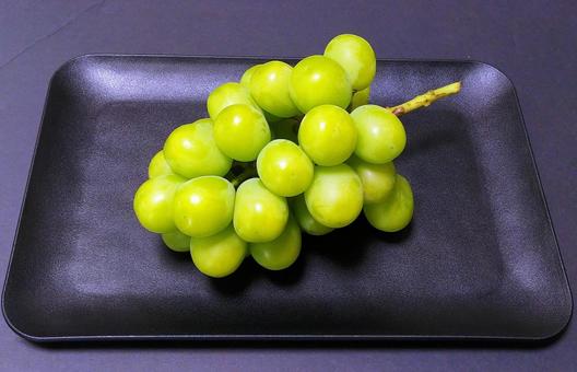 ぶどう・シャインマスカット ぶどう・シャインマスカット ぶどう,果物,フルーツの写真素材