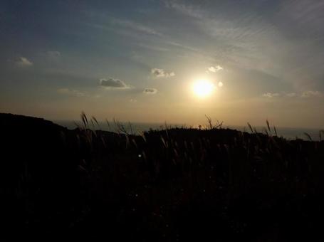 Silver grass dyed in the setting sun, JPG