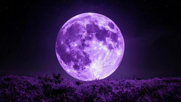 紫の満月2 紫の満月2の写真