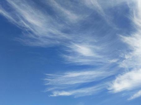 空高くに現れる薄く繊細な雲 空,青空,細いの写真素材