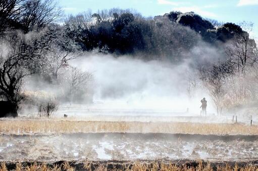 朝もやにけむる田んぼ 田んぼ,冬,朝もやの写真素材