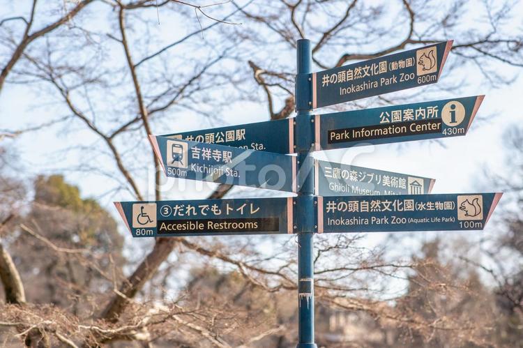 冬の井の頭公園の案内看板 井の頭公園,看板,案内の写真素材