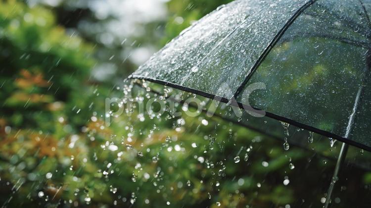 緑に包まれた雨の傘 傘,雨,水滴の写真素材