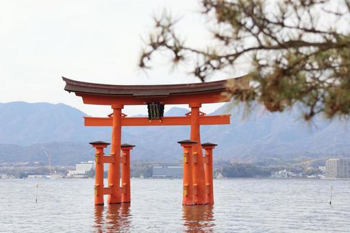 厳島神社の鳥居 鳥居,厳島神社,宮島の写真素材