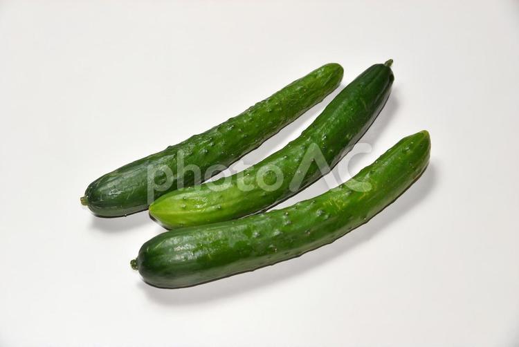 【きゅうり】　新鮮野菜　素材 きゅうり,キュウリ,胡瓜の写真素材