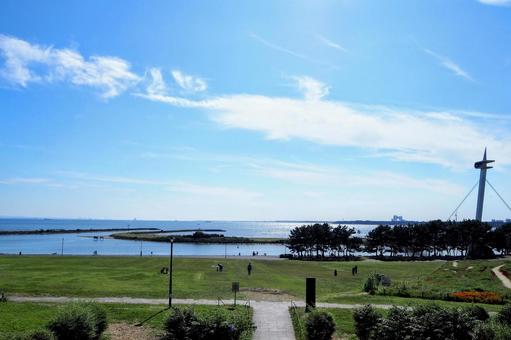 秋晴れの葛西臨海公園&青い海(江戸川区) 秋晴れの葛西臨海公園&青い海(江戸川区) 秋晴れ,葛西臨海公園,江戸川区の写真素材