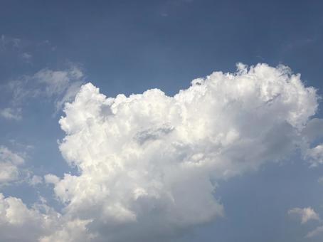 綺麗な雲 綺麗な雲の写真