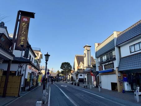 成田山　新勝寺　表参道 成田山,新勝寺,表参道の写真素材