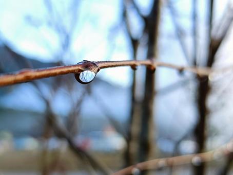 水滴 自然,風景,冬の写真素材