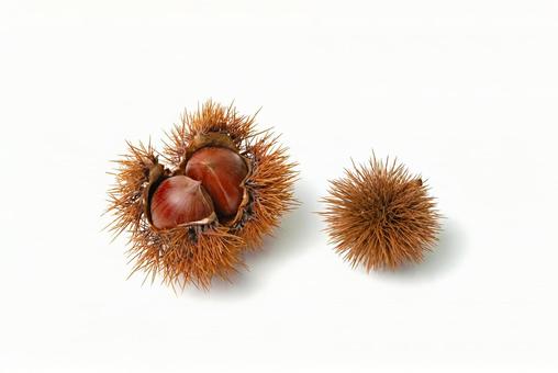 栗入りイガとイガの写真