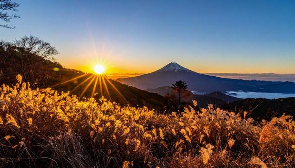 初日の出 初日の出の写真
