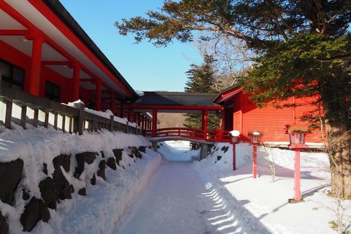 赤城神社参道 赤城神社参道の写真