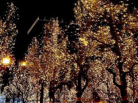 イルミネーション クリスマス,xmas,ツリーの写真素材