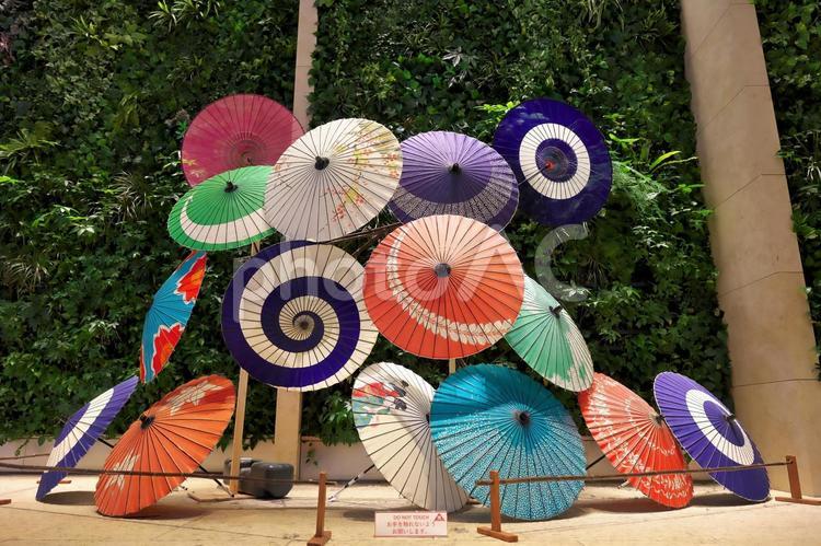 丸の内の和傘展示 丸の内,和傘,柄付き傘の写真素材