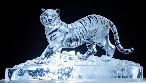 氷で作られた白虎 彫刻アート 氷で作られた白虎 彫刻アートの写真
