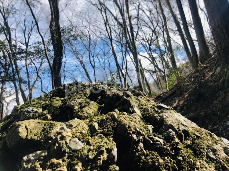 山頂付近に見られる苔と岩 苔,岩,木漏れ日の写真素材