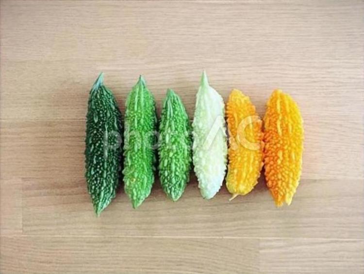 食べ頃ゴーヤーから熟したゴーヤーのグラデーション ゴーヤー,夏野菜,実の写真素材