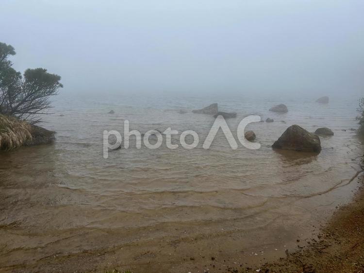 悪天候のガマ沼 ガマ沼,悪天候,波の写真素材