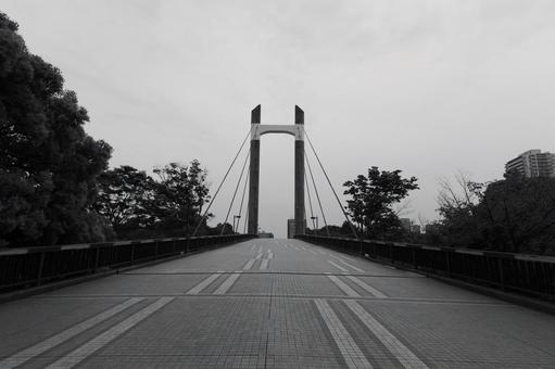 木場公園 モノクロ 木場公園 モノクロの写真