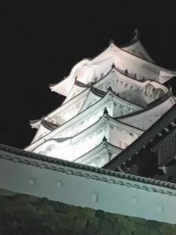 夜に輝く姫路城 姫路城,夜景,世界遺産の写真素材