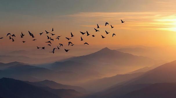 光と影が織りなす、山と鳥の幻想的な風景 光と影が織りなす、山と鳥の幻想的な風景の写真