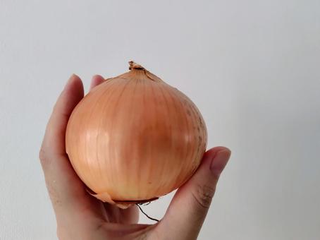 たまねぎ たまねぎの写真
