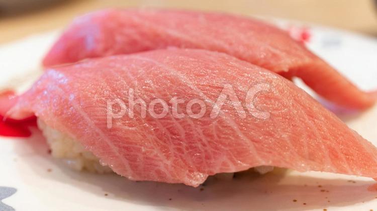 中トロのにぎり寿司 中トロ,握り寿司,寿司の写真素材