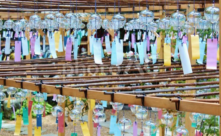 京都・正寿院　夏の風鈴まつり 正寿院,しょうじゅいん,風鈴祭の写真素材