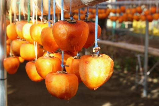 ころ柿 ころ柿の写真