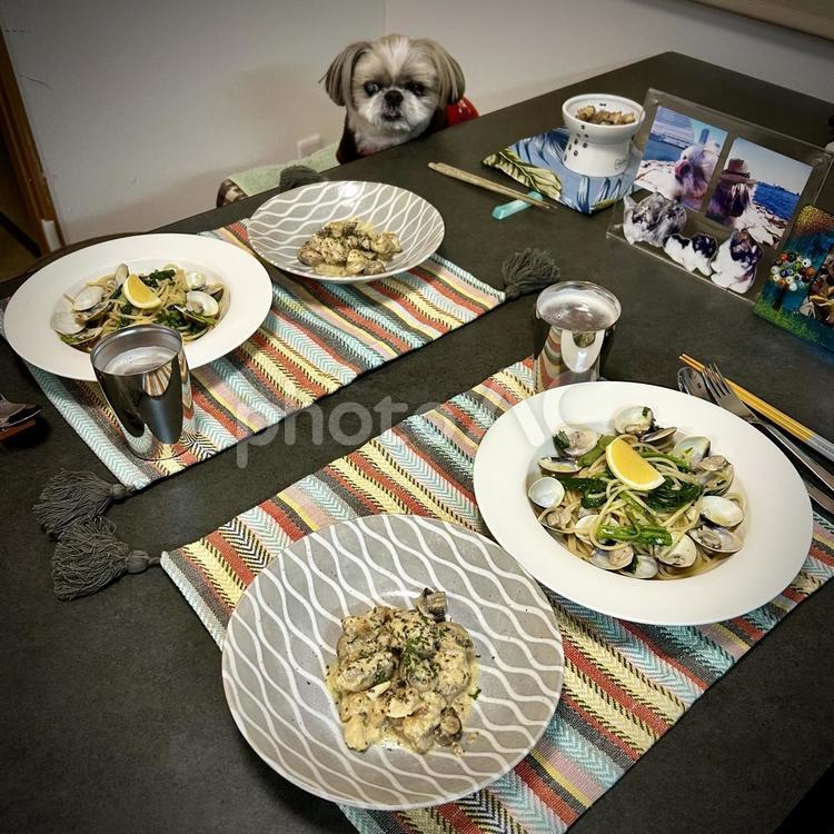 イタリア料理と愛犬 旦那飯,男の料理,手料理の写真素材