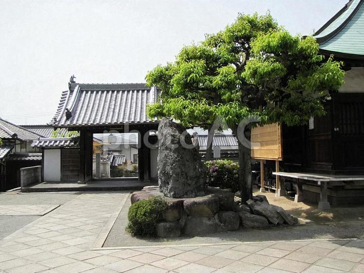 【風景写真】大善寺(広島県三原市) 大善寺,浄土宗,寺社仏閣の写真素材