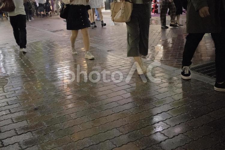 雨上がりの繁華街 雨上がり,夜,繁華街の写真素材
